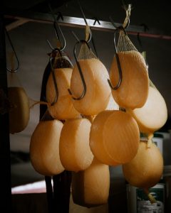 Close-up of round cheese wheels hanging in a traditional curing process.