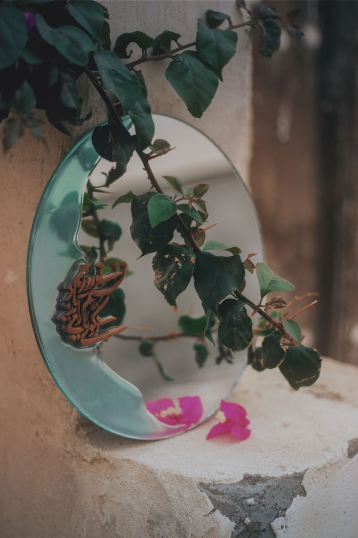 Close-up of bougainvillea branch reflected in a mirror outdoors in Bandar Kong, Iran.